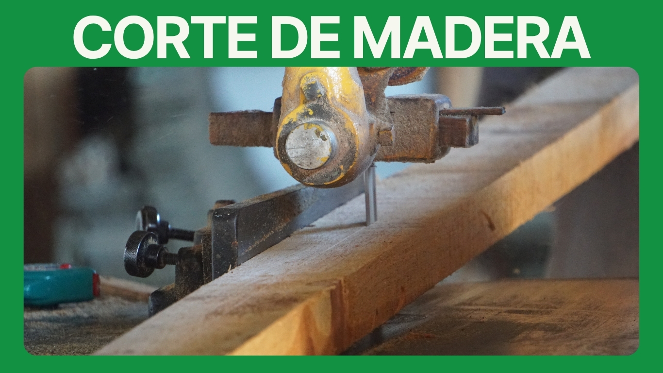 CORTE DE MADERA